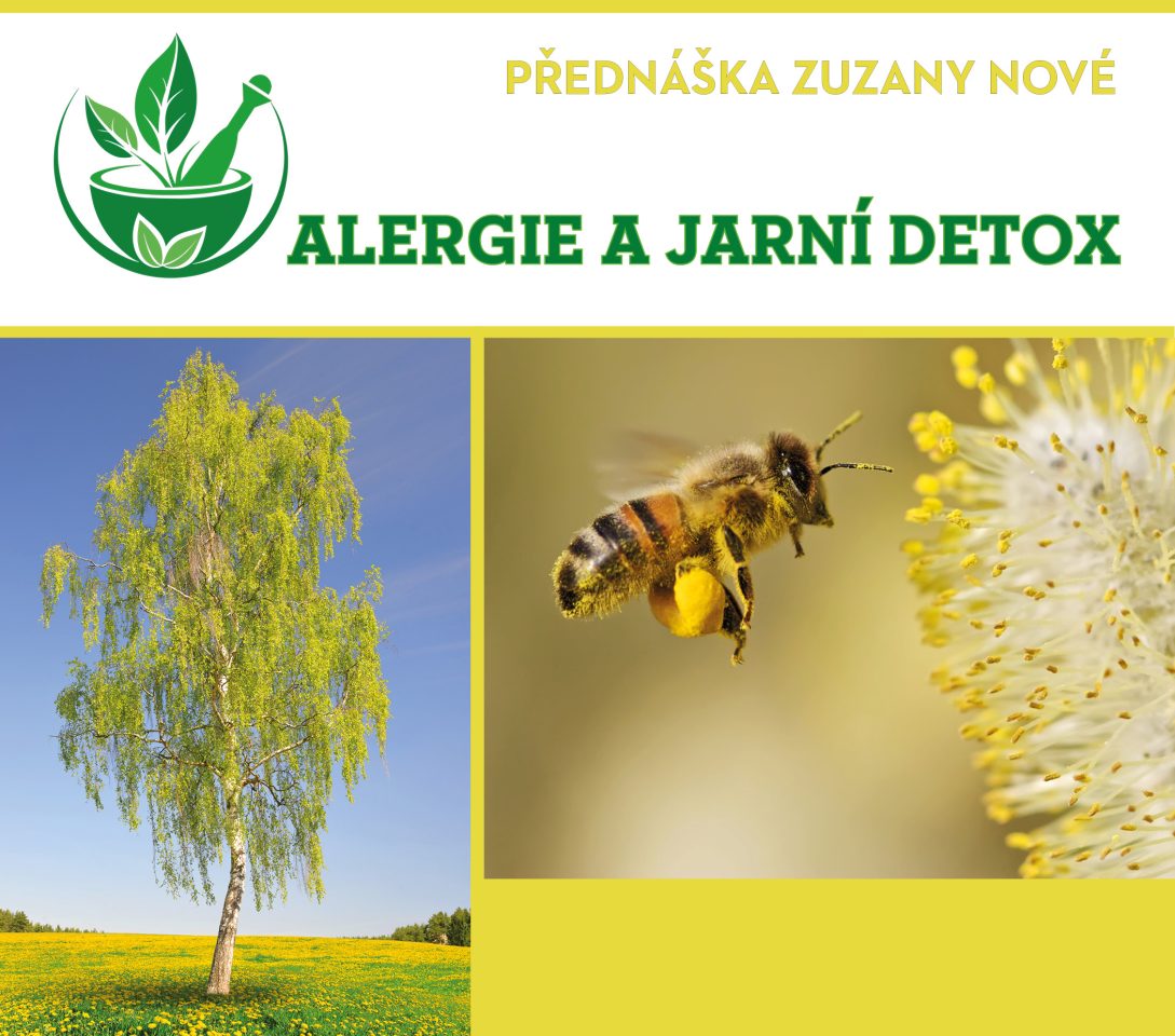Alergie a jarní detox