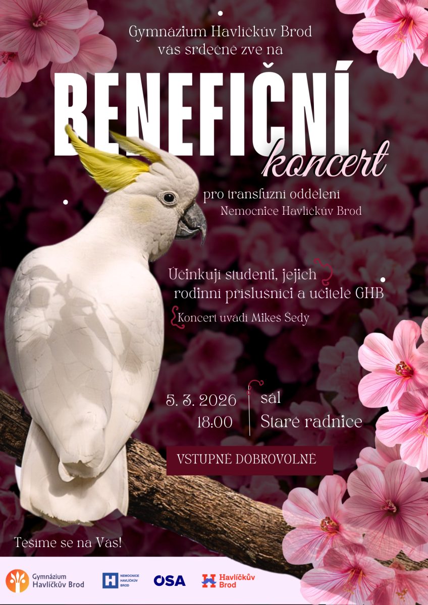 Benefiční koncert