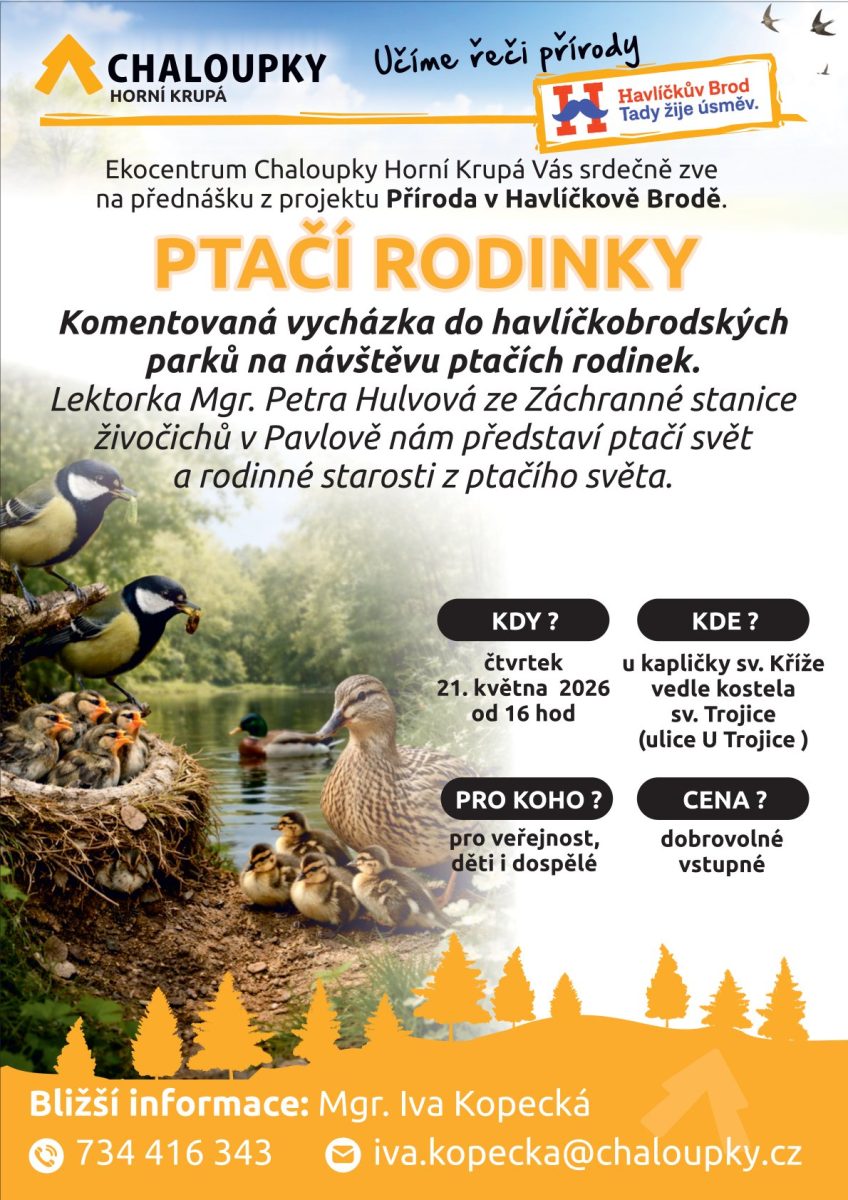 PTAČÍ RODINKY