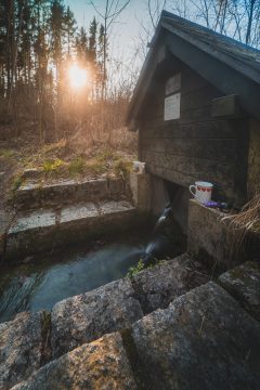 Fotografie č.2