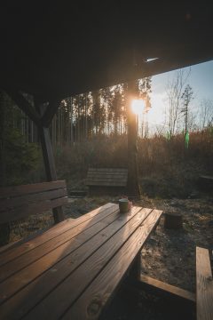 Fotografie č.5
