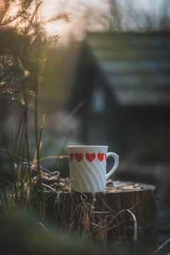 Fotografie č.6