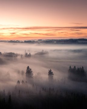 Fotografie č.2